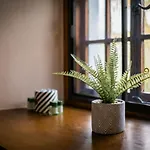 Σπίτι διακοπών Grade 2 Listed 2 Bedroom Pet Friendly - Parking - Hot Tub - Very Quiet Bowness-on-Windermere