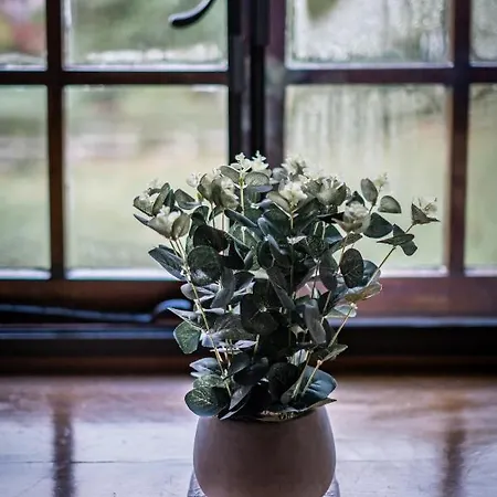 Grade 2 Listed 2 Bedroom Pet Friendly - Parking - Hot Tub - Very Quiet Bowness-on-Windermere