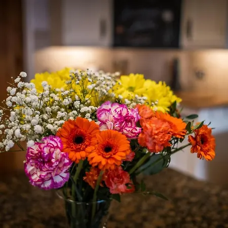 Ferienhaus Grade 2 Listed 2 Bedroom Pet Friendly - Parking - Hot Tub - Very Quiet Bowness-on-Windermere