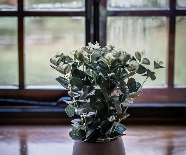 Grade 2 Listed 2 Bedroom Pet Friendly - Parking - Hot Tub - Very Quiet 鲍内斯温德米尔