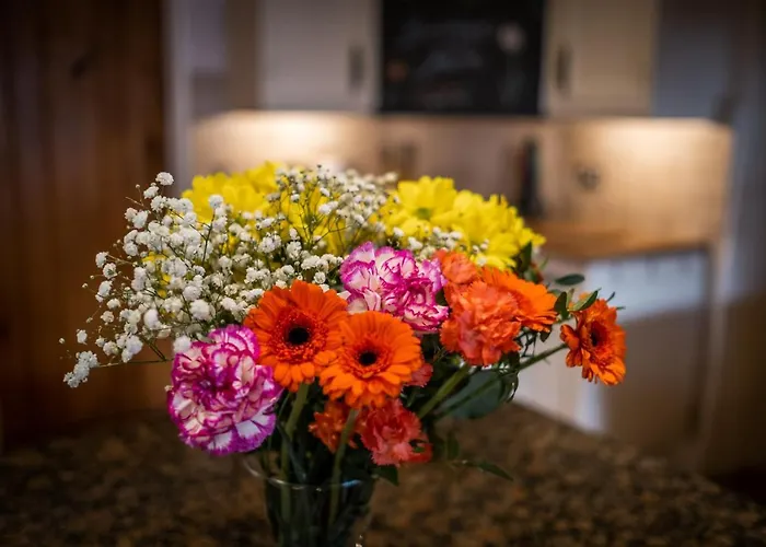 度假居 Grade 2 Listed 2 Bedroom Pet Friendly - Parking - Hot Tub - Very Quiet 鲍内斯温德米尔